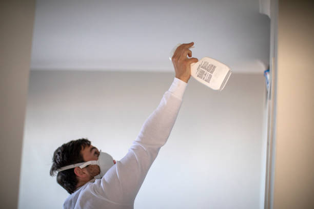 Best Black Mold Remediation in Waupaca, WI